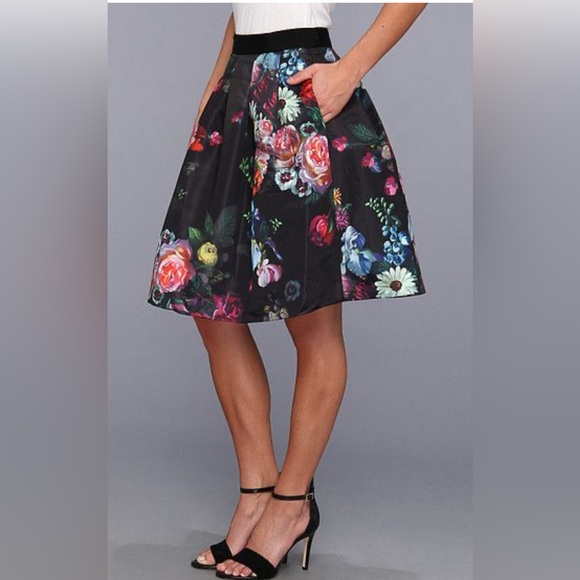 Ted Baker London Flowtii Oil Painting Full Skirt Pleats Hip Pockets Size 0/2 - Picture 1 of 10